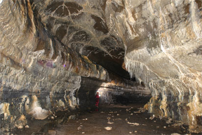 Lava caves