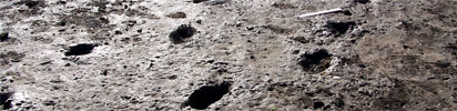 Formby Footprints
