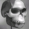 Piltdown skull