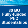 PhD studentships