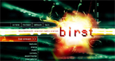 BIRSt website