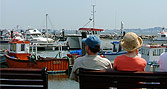 Couple watching boats at Poole