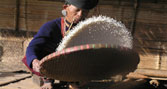 A man tossing rice