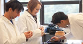 BU students from the School of Applied Sciences working in a lab