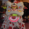 The traditional Chinese lion dance