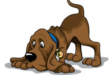 BU Newshound